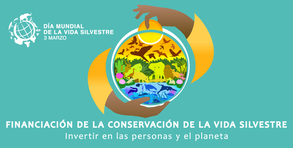 World Wildlife Day 2025 Poster (Spanish)